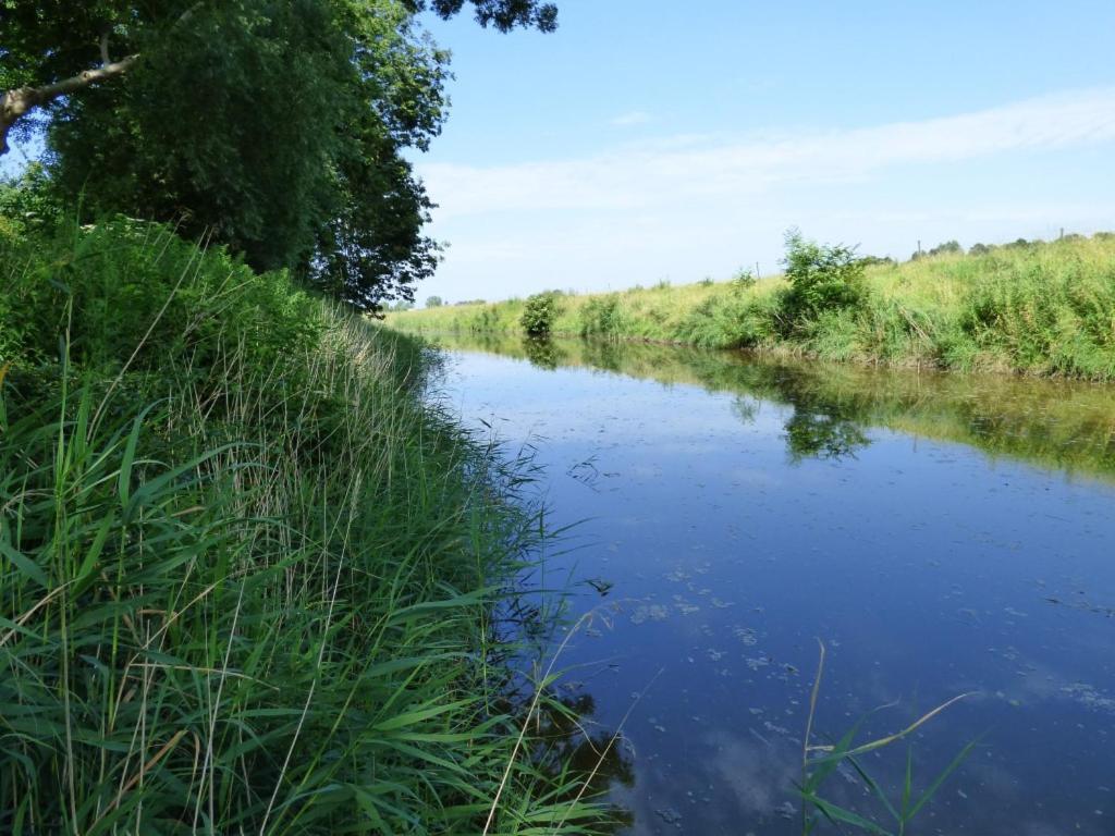 Wasserkoog 22 Tetenbull Zewnętrze zdjęcie