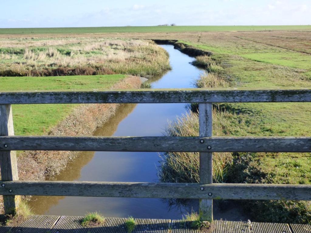 Wasserkoog 22 Tetenbull Zewnętrze zdjęcie